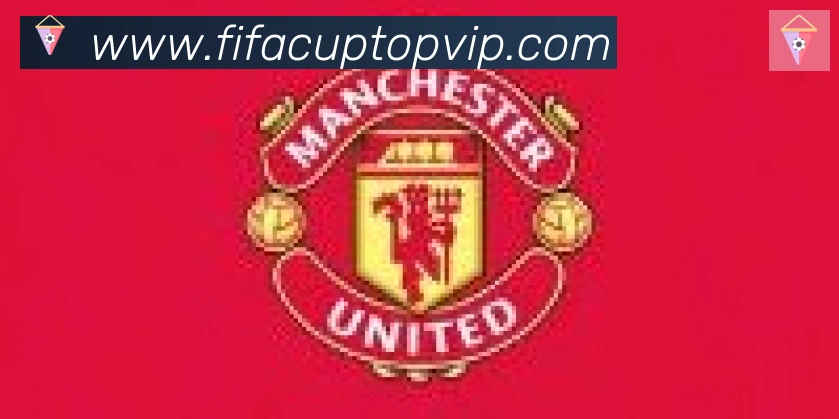 FIFA世界杯比分官方网站合作伙伴