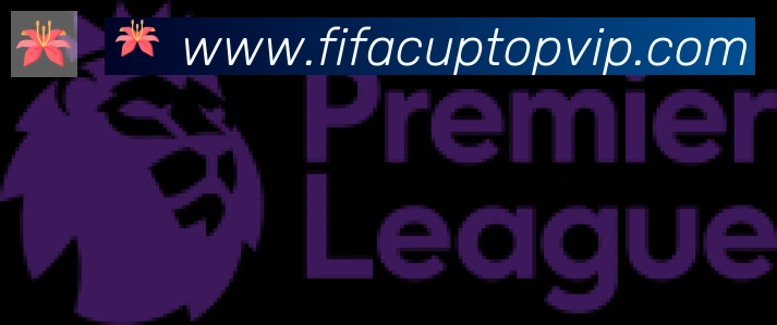 FIFA世界杯比分官方网站合作伙伴